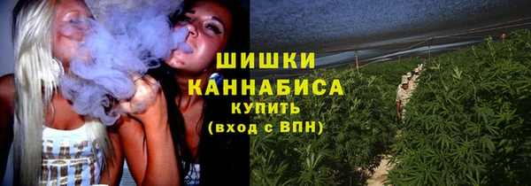 спайс Богородск
